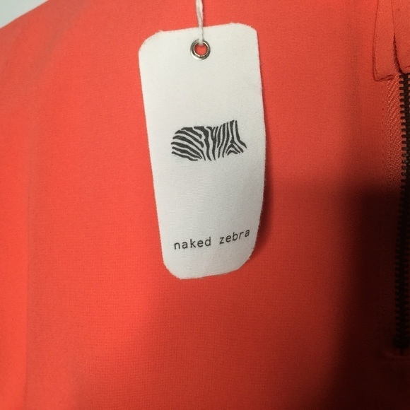 Naked Zebra gorgeous top. - Picture 6 of 8